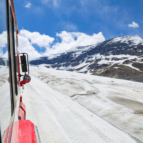캘거리/밴프/캔모어 출발: 로키 아이스필드 당일 투어 - 보우 호수 & 페이토 호수 & 콜롬비아 아이스필드
