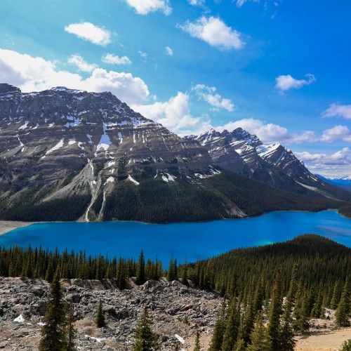 activity_detail_image