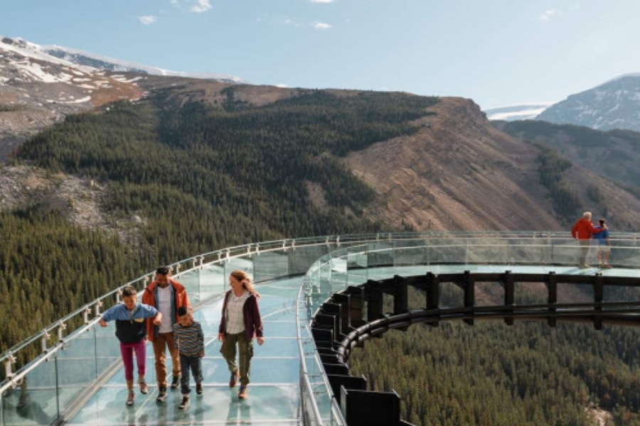 캘거리/밴프/캔모어 출발: 로키 아이스필드 당일 투어 - 보우 호수 & 페이토 호수 & 콜롬비아 아이스필드