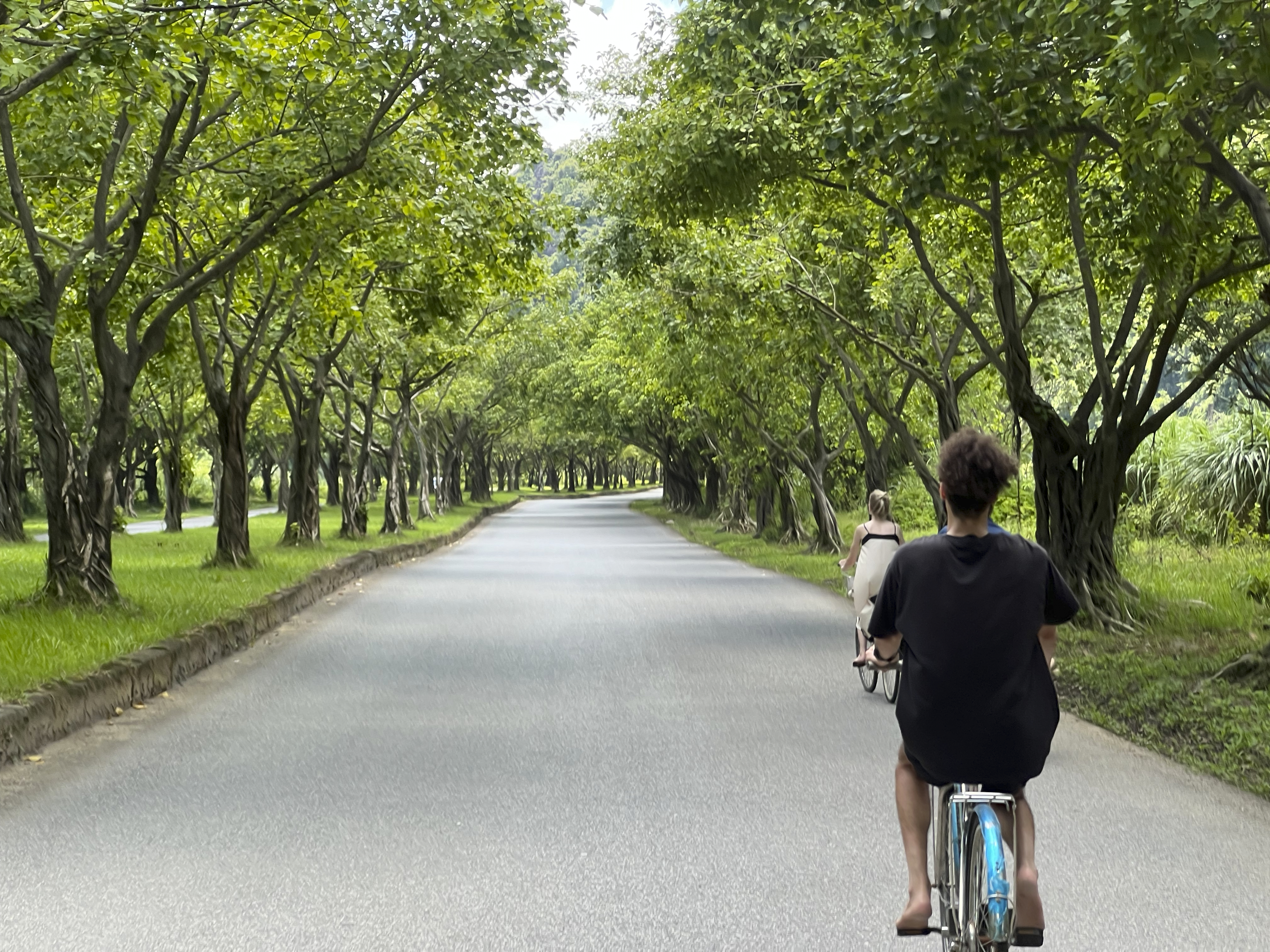 [하노이고스트] 하노이 닌빈 땀꼭 단독 투어 (한국어 가이드)