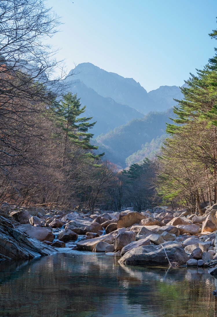 Nami Island & Seoraksan Mountain One Day Tour from Gangwon