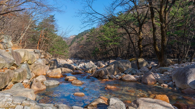 Nami Island & Seoraksan Mountain One Day Tour from Gangwon