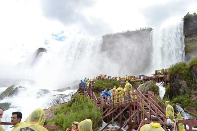 [케이투어뉴욕] 뉴욕 출발: 나이아가라 폭포 일일 단독 투어 (스카이론 타워 전망대 & 해밀턴 파크 야경 포함)