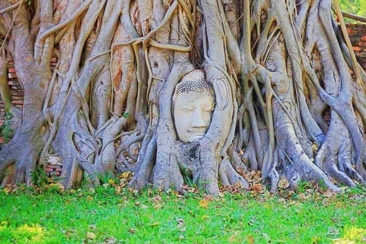 [방콕 출발/공항샌딩] 아유타야 사원 단독 투어 (왕복차량/한국어가이드 포함)