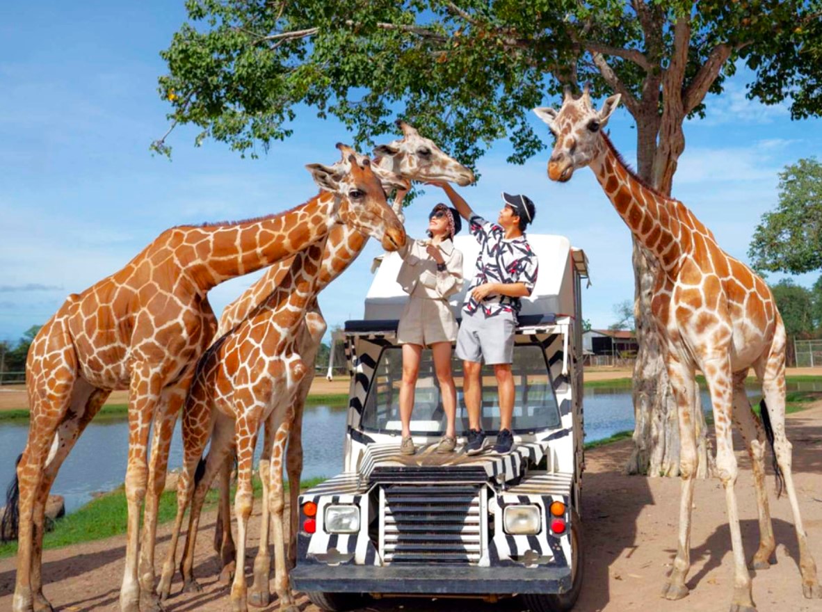 칸차나부리 사파리파크 & 에라완국립공원 & 콰이강의 다리 & 미나카페 단독 투어 (단독차량/한국어가이드 포함)