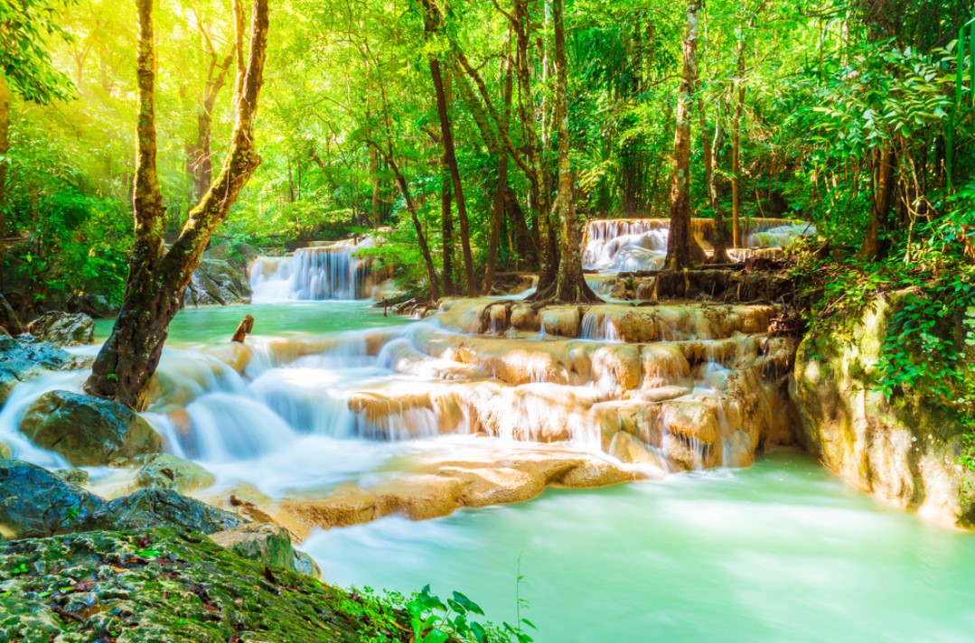 칸차나부리 사파리파크 & 에라완국립공원 & 콰이강의 다리 & 미나카페 단독 투어 (단독차량/한국어가이드 포함)