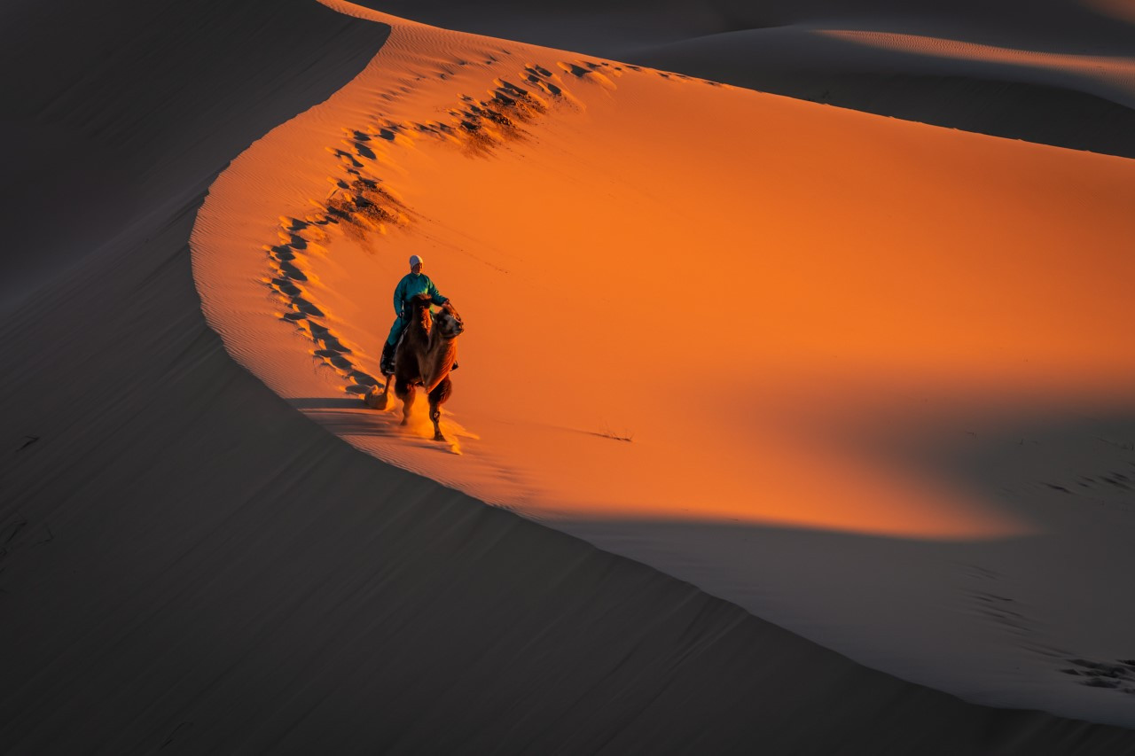 [모코투어] [5박6일] 고비사막 + 테를지 풀 패키지 투어