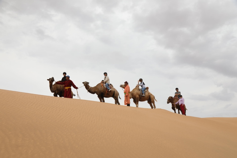 [모코투어] [6박7일] 고비사막 + 테를지 풀 패키지 투어