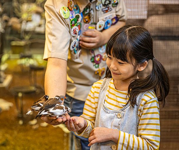 activity_detail_image