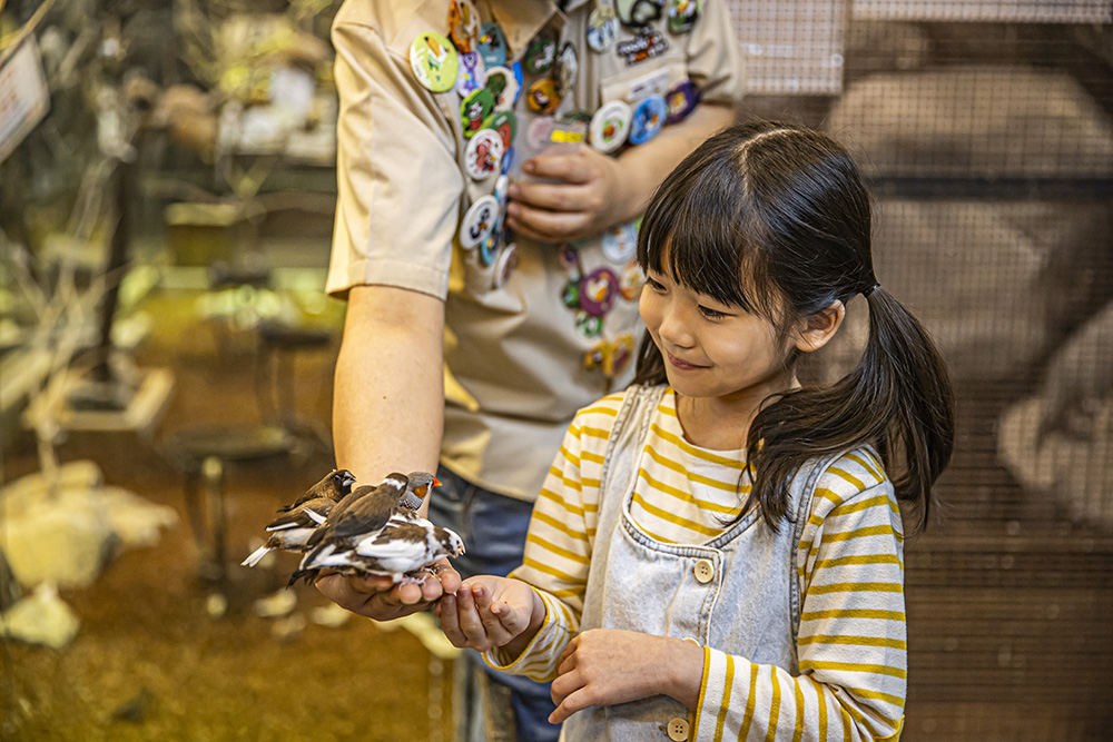 慶州(キョンジュ)チュロンチュロン室内動物園 慶州(キョンジュ)店 入場チケット