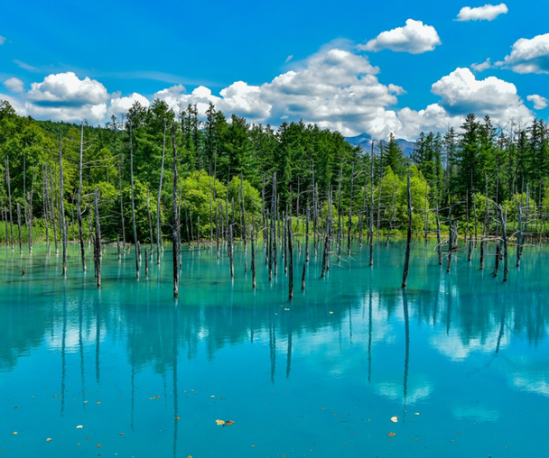 activity_detail_image