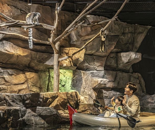 activity_detail_image