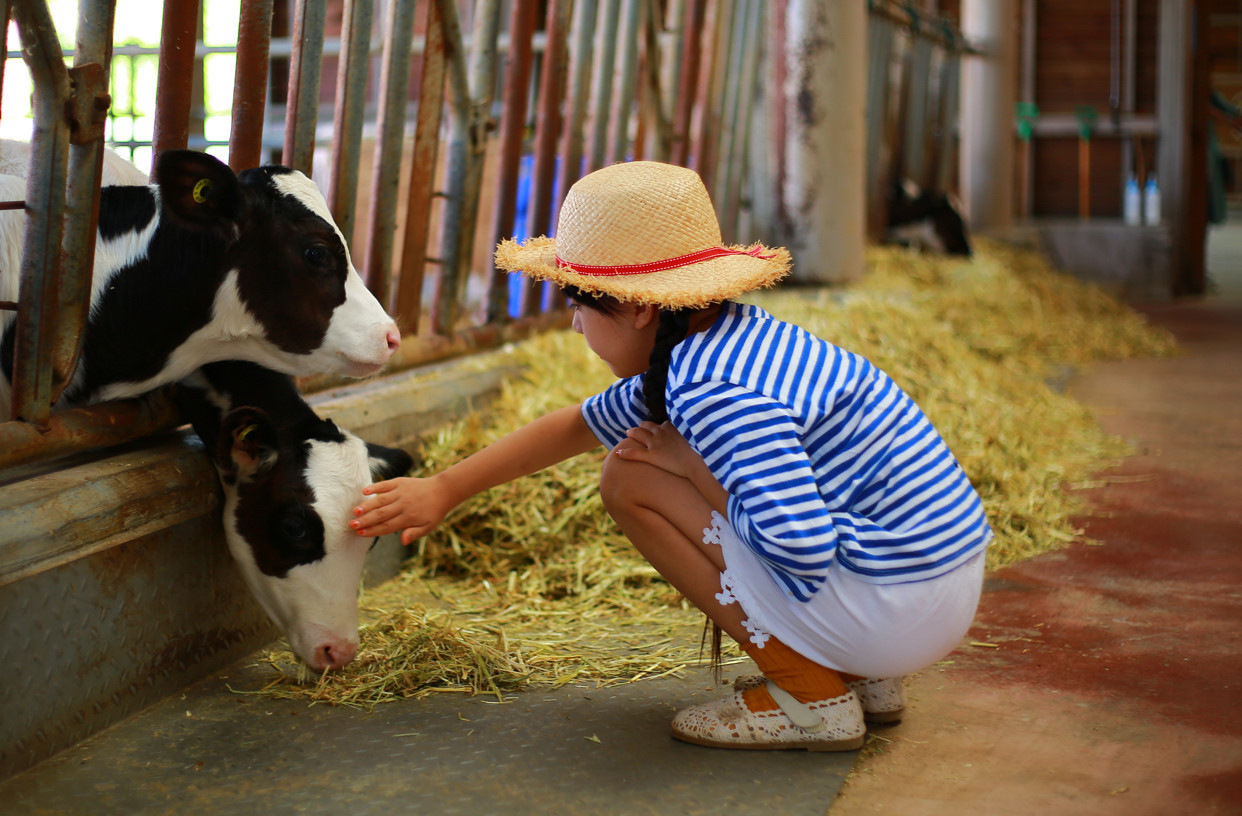 [사전예약 50%] 전북 고창 제 10회 상하농원 가정의 달 축제 봄꽃 공방 피크닉 입장권