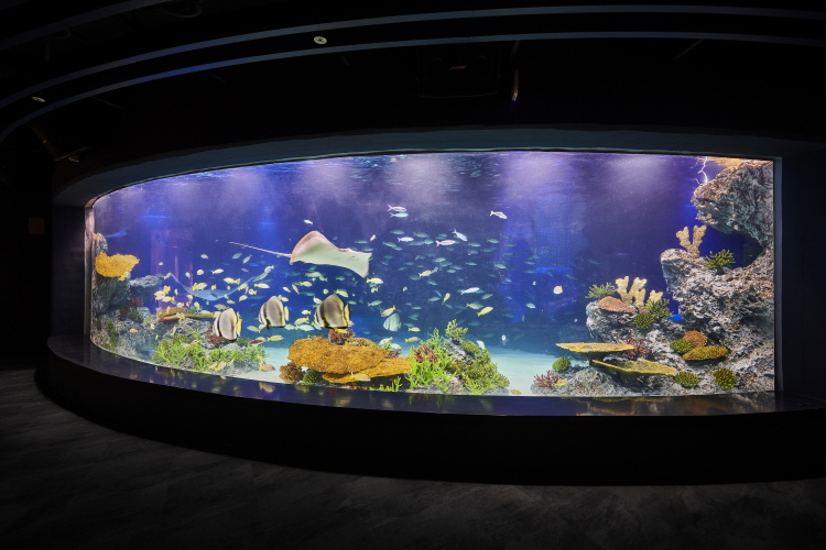 京畿道 水原(キョンギド スウォン) 光교(クァンギョ) アクアプラネット入場チケット