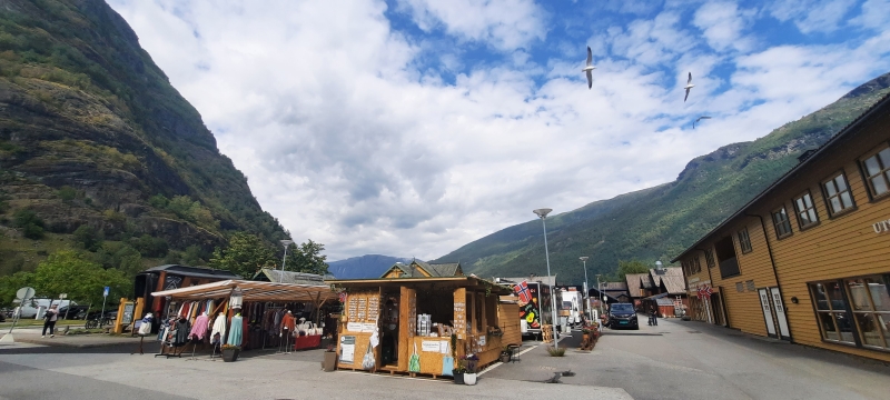 노르웨이 피오르 프라이빗 넛셀 투어 (전문 가이드 포함)