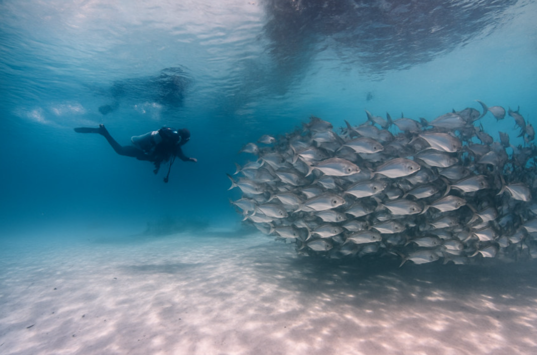 코타키나발루 스쿠버 다이빙 체험