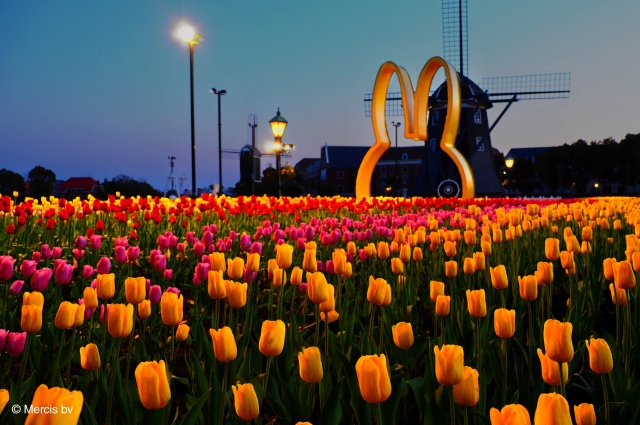 [20%할인] 후쿠오카 나가사키 하우스텐보스 입장권 (종일 티켓, 애프터 3 티켓)