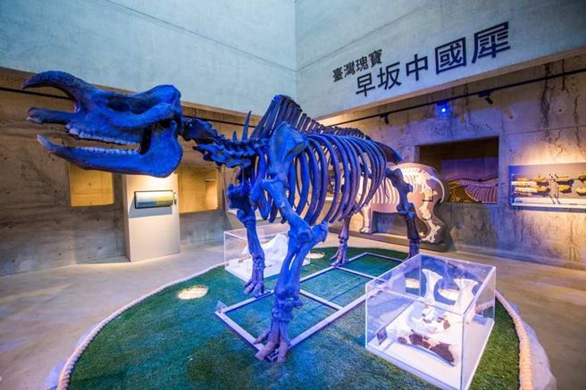 타이난 주오진 화석 파크 입장권