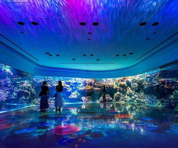 activity_detail_image