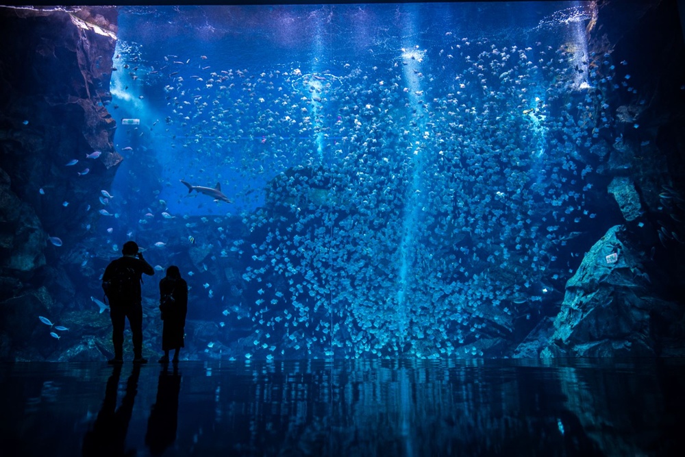 Taiwan Taipei Taoyuan Xpark Aquarium Admission Ticket