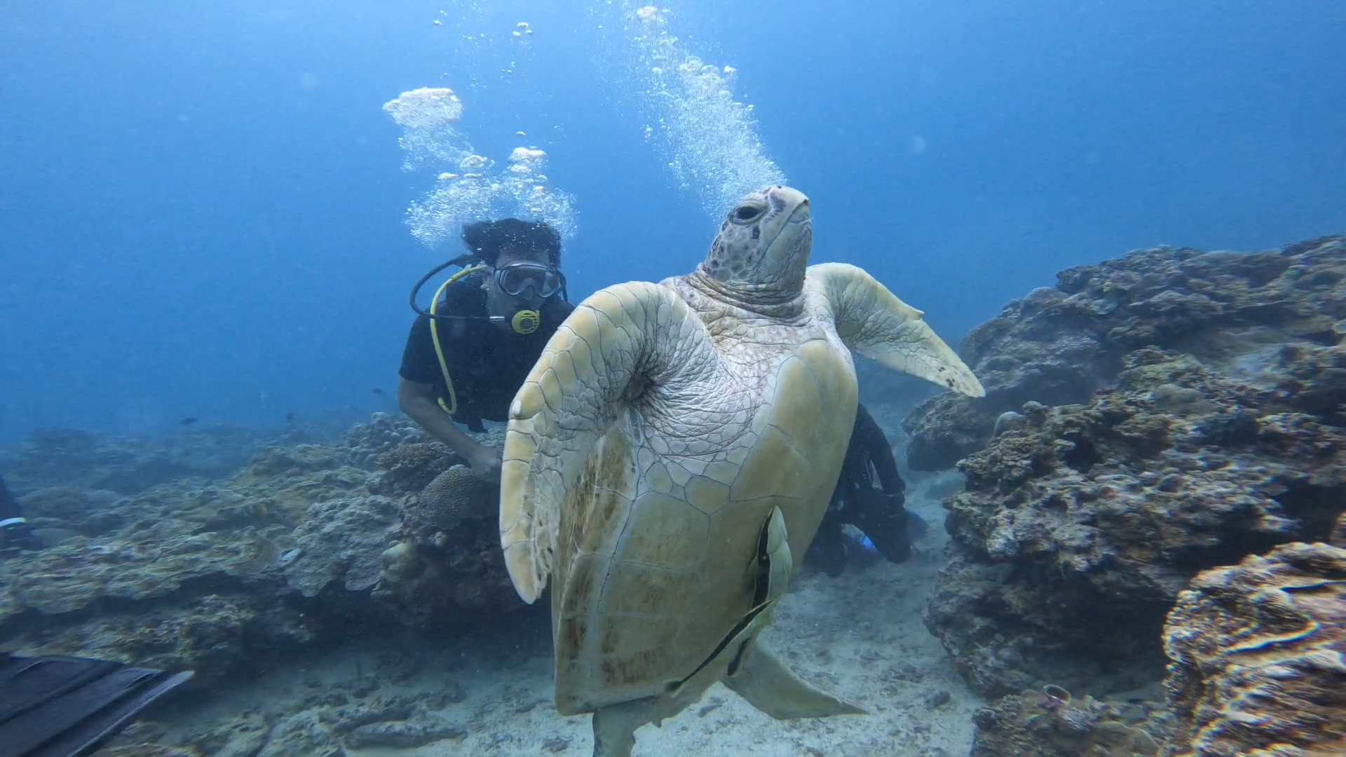 Boracay Devoora Experience Diving Tour (Photos & Videos Provided)