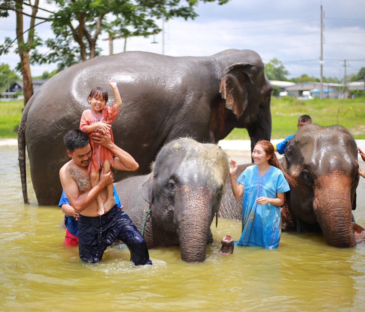 チェンマイ エレファント コミュニケーション体験カフェツアー (往復送迎付き)