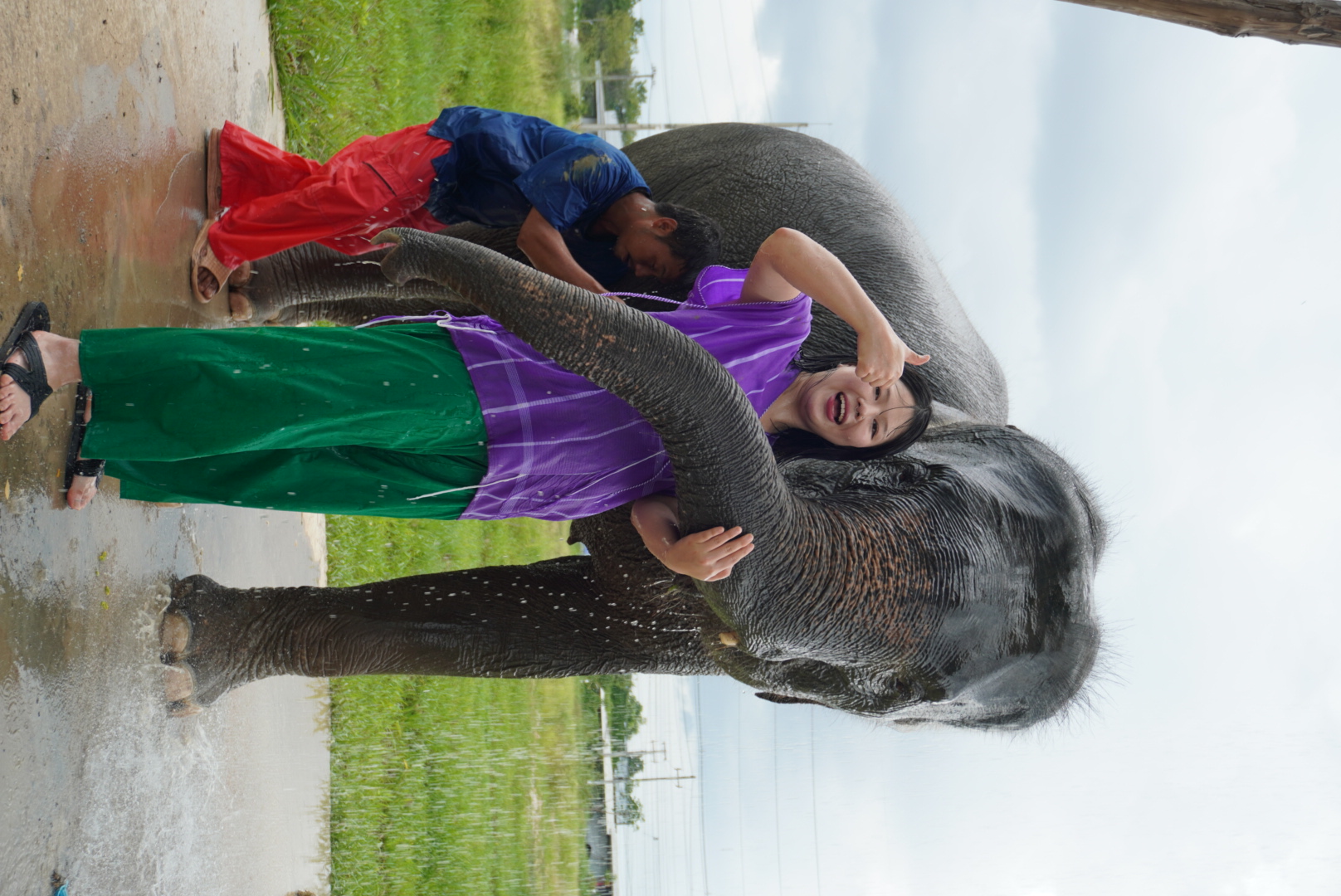 チェンマイ エレファント コミュニケーション体験カフェツアー (往復送迎付き)