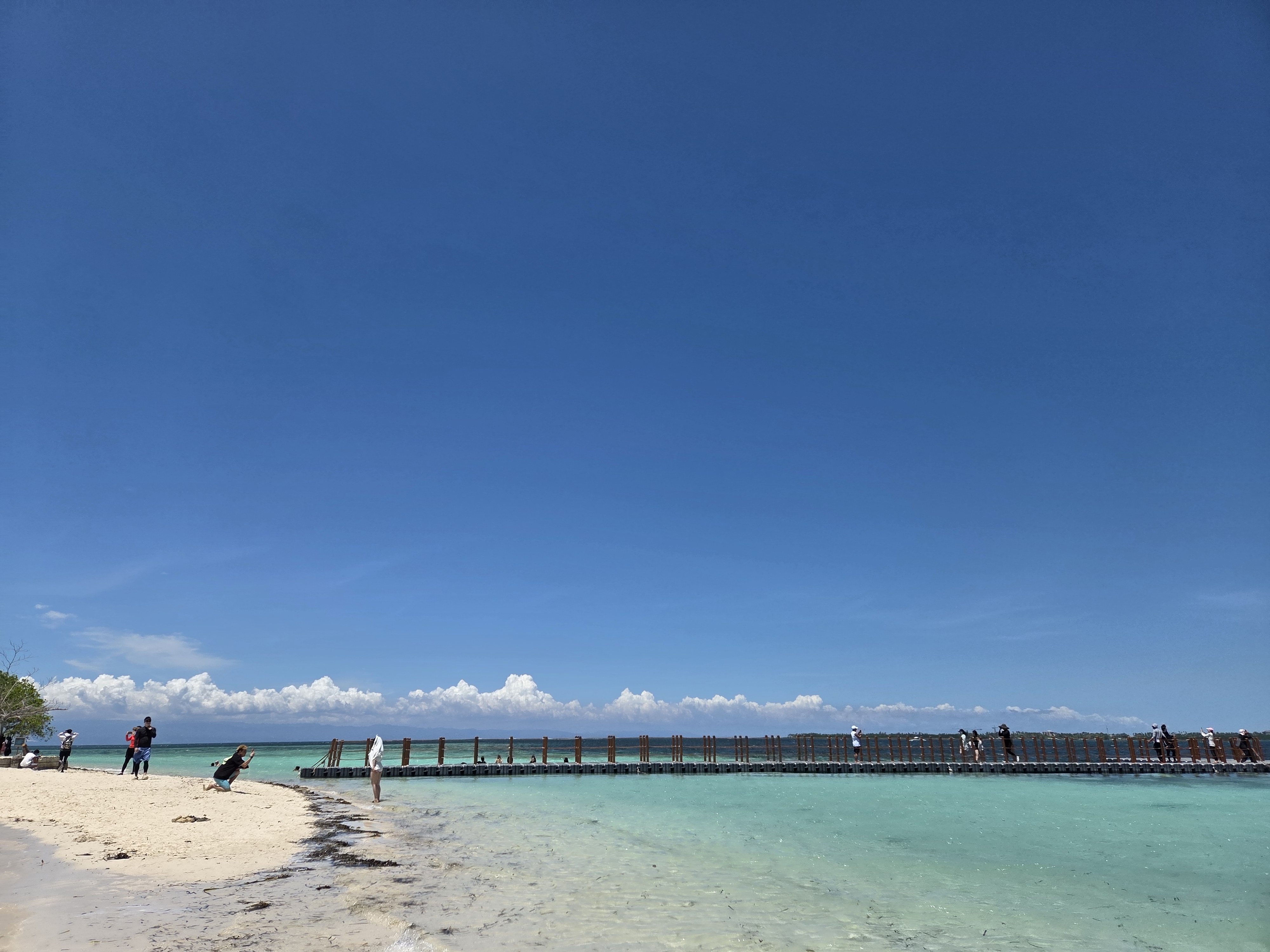 [보자무싸] 보홀 발리카삭 써니 오션 호핑투어