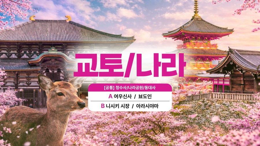 오사카 출발: 교토 & 나라 하이라이트 스팟 일일 투어 (A/B 코스)