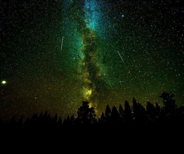 activity_detail_image