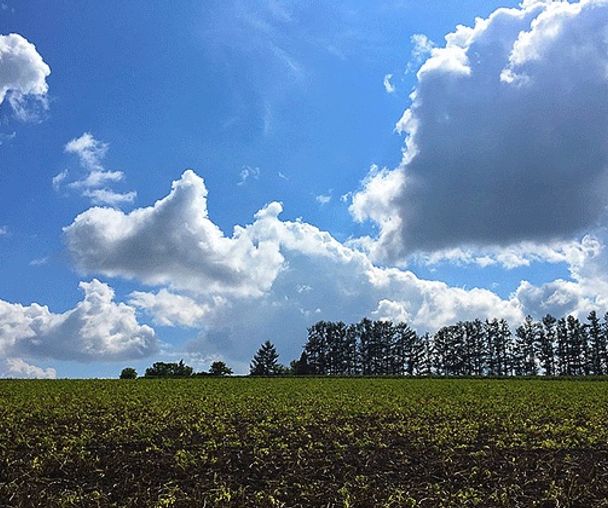 activity_detail_image