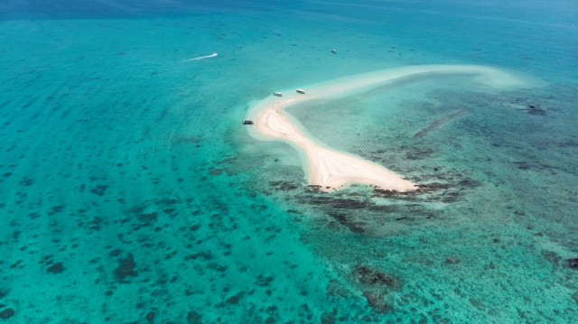 [독점할인] 이시가키 환상의 섬 하마지마 스노클링 투어