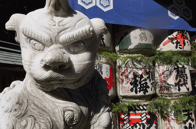 JR Kyushu Fukuoka Wide Mobile Pass