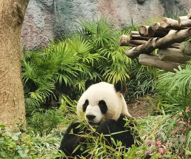 activity_detail_image