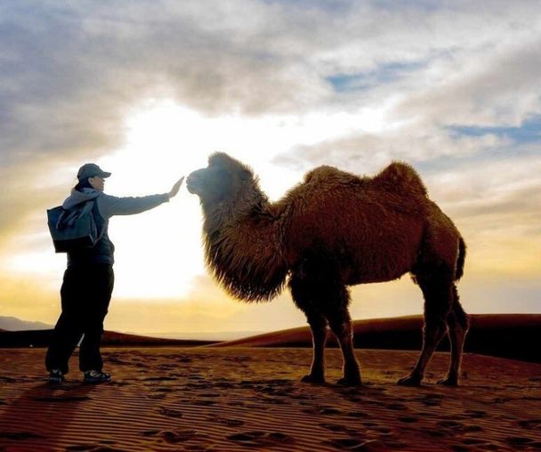 activity_detail_image