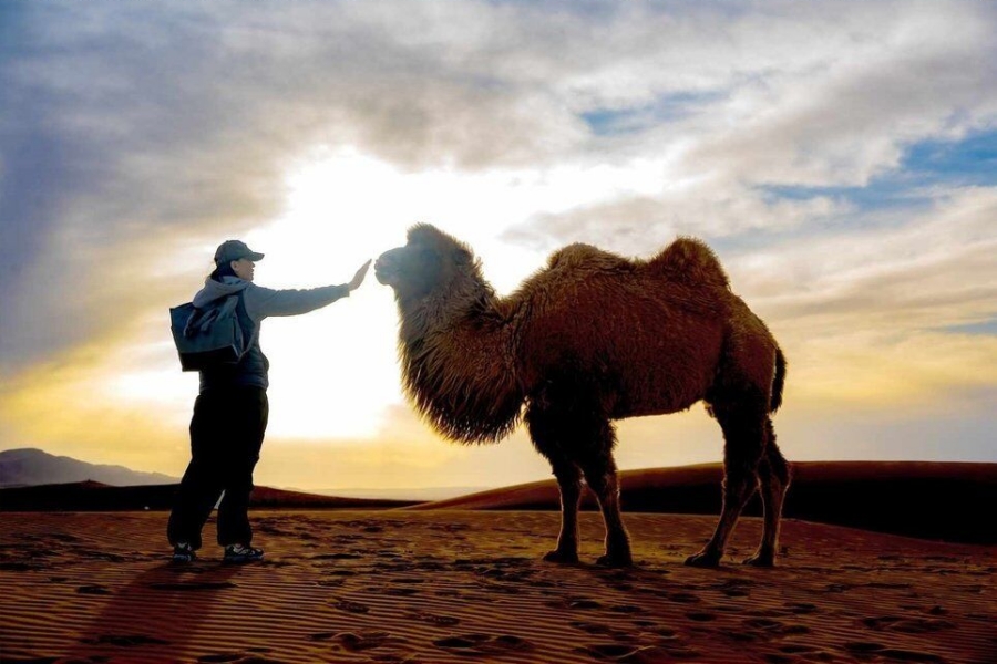[노메코] [3박4일] 몽골 쳉헤르 온천 + 미니사막 + 테를지 투어 (천체망원경 관측 포함)