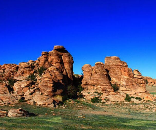 activity_detail_image