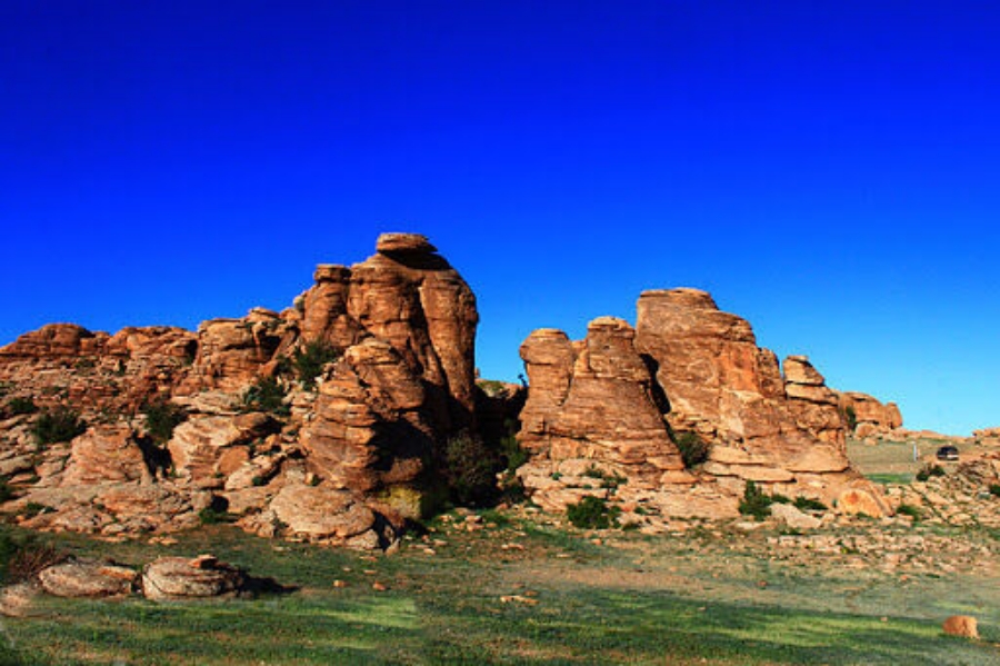 [노메코] [6박7일] 몽골 고비사막 + 테를지 투어