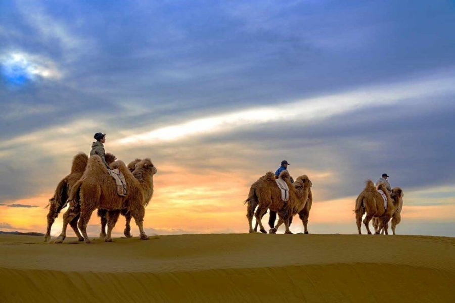 [노메코] [6박7일] 몽골 고비사막 + 테를지 투어