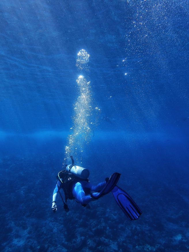 Kota Kinabalu Scuba Diving Experience