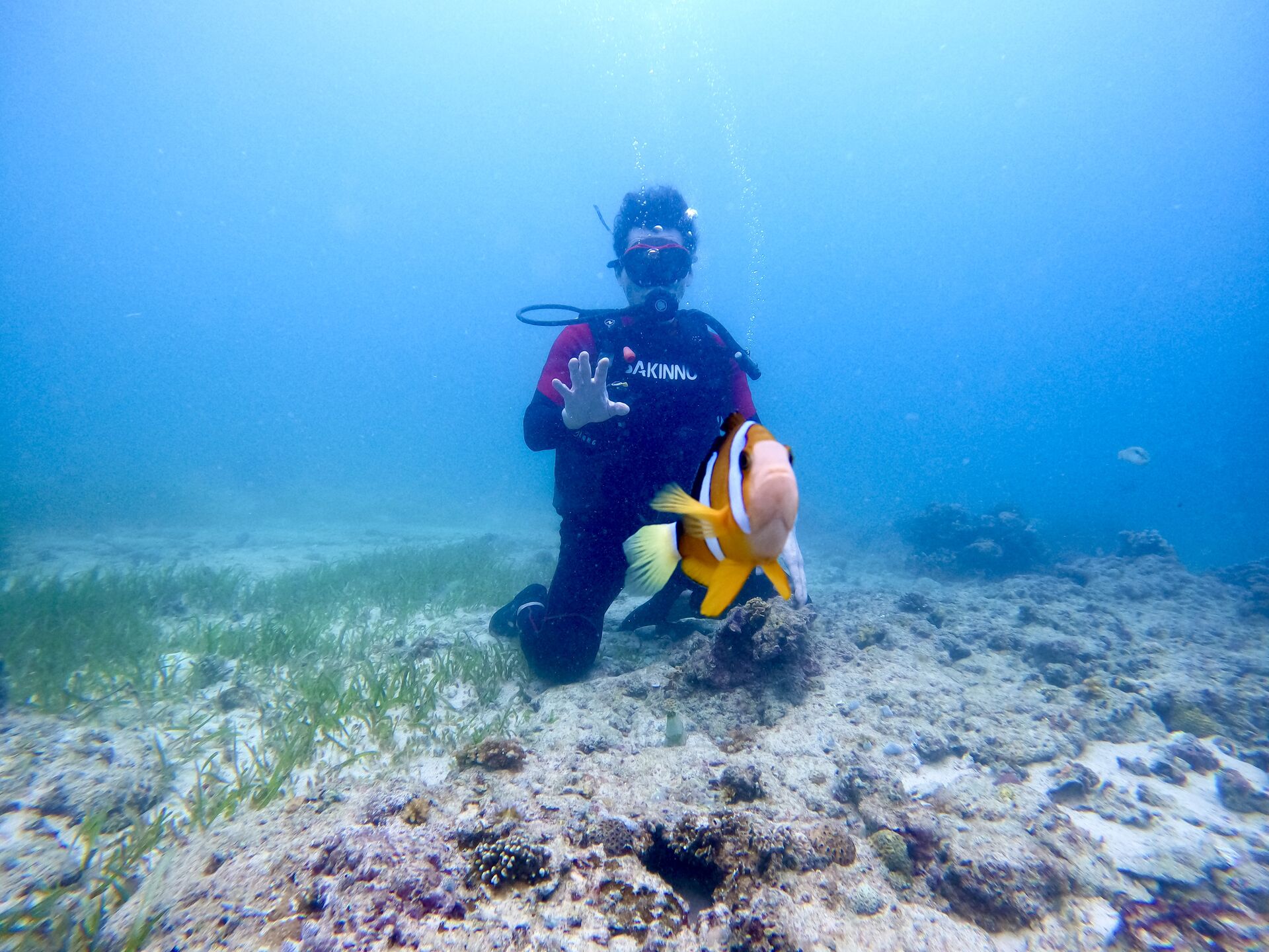 필리핀 세부 스쿠버다이빙 펀 스킨 체험