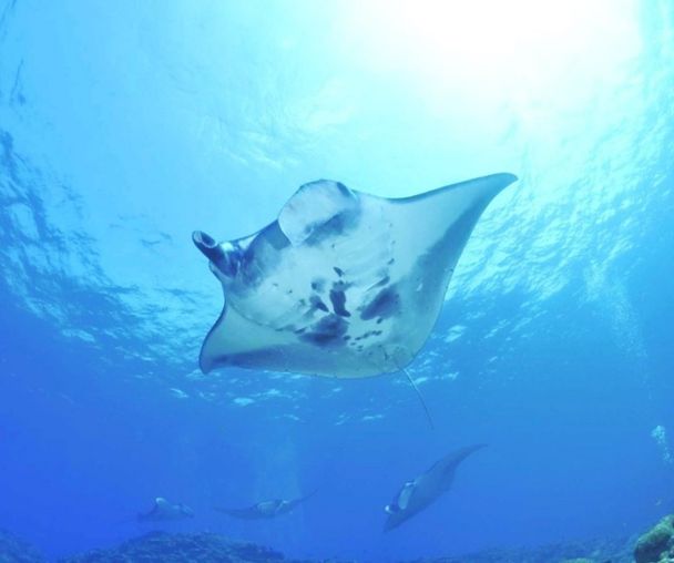 activity_detail_image