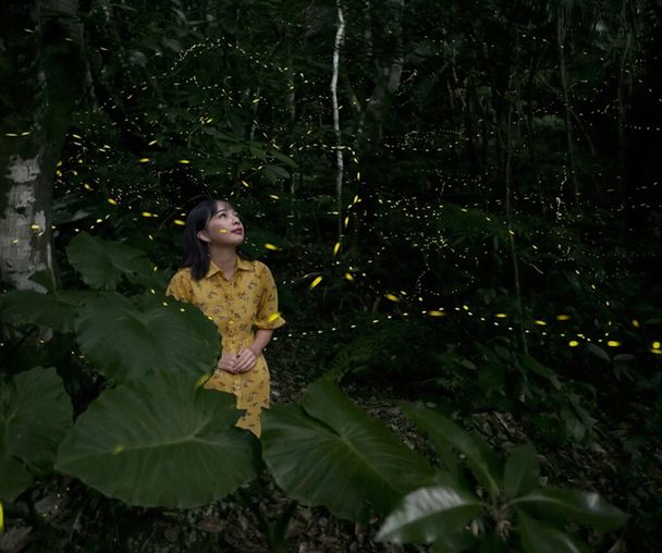 activity_detail_image