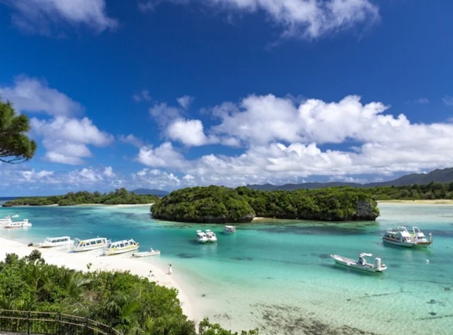 [독점할인] 이시가키 하루 만끽 포토 투어