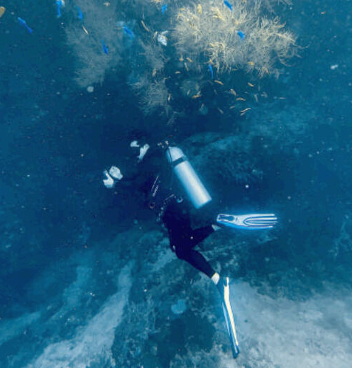 필리핀 세부 스쿠버다이빙 펀 스킨 체험