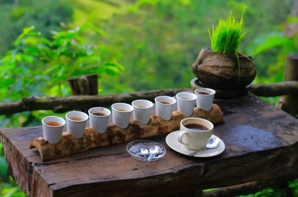 발리 바투르산 일출 지프 + 플로팅 템플 + 커피 농장 한국어 가이드 단독 투어