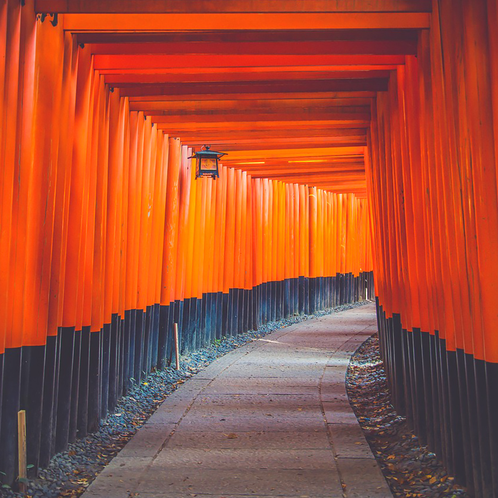 [독점할인] [아이트립] 오사카 출발: 교토 일일 투어 (후시미이나리 신사, 아라시야마, 금각사, 청수사)