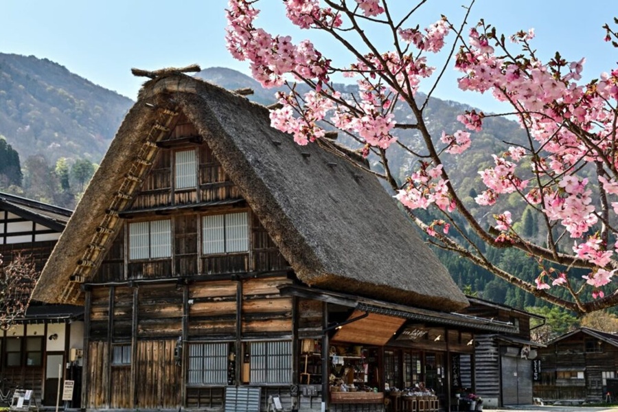 [독점할인] [아이트립] 나고야 출발: 시라카와고 & 다카야마 일일 버스투어 (한국어 가이드)