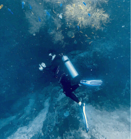 필리핀 보홀 펀 스킨 스쿠버 체험