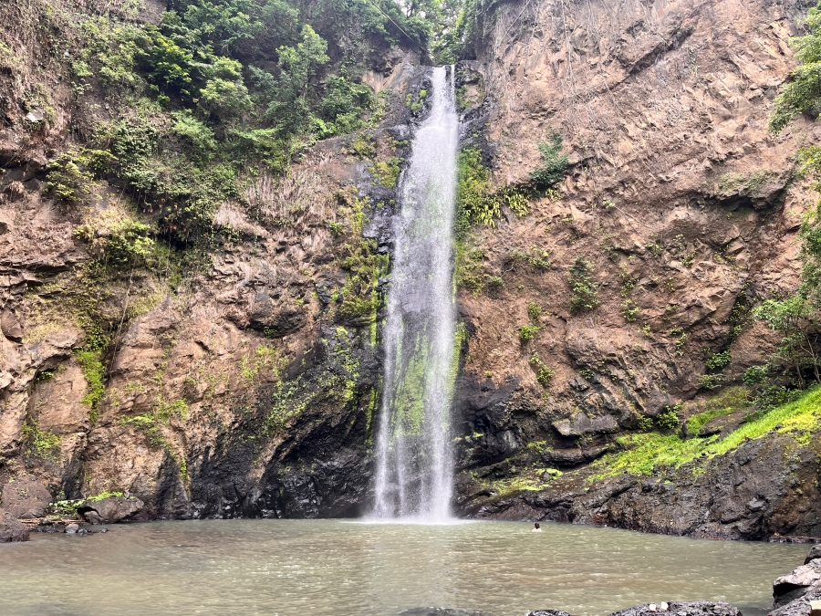 From Gili: Lombok Wildlife Park & Tiu Pupus Waterfall Day Tour (Inc. Hotel Pick-up & Drop-off)